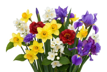 Vibrant floral arrangement studio display botanical art nature's beauty isolated on transparent background