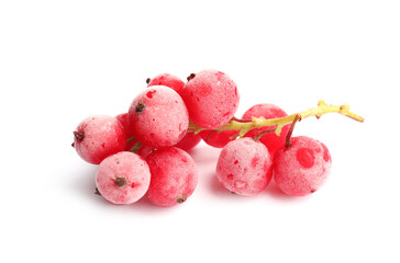 Red frozen currant berries isolated on white