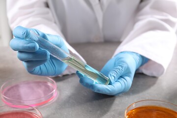 Scientist with test tube of sample at grey table in laboratory, closeup. Solution chemistry