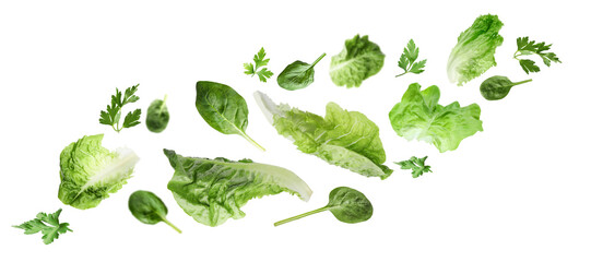 Fresh salad leaves flying against white background. Lettuce, spinach and parsley