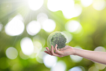 Woman holding crystal ball with tree inside against blurred green background, closeup