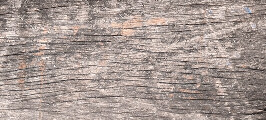 Fototapeta premium Natural old wood texture for the background