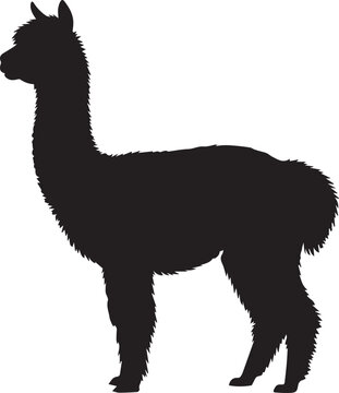 black alpaca silhouette on white background clip art preview