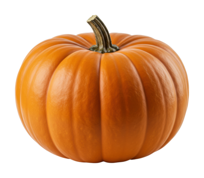 Harvesting pumpkins fall festival food outdoor market autumn vibes isolated on transparent background