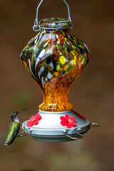 hummingbird on a stained-glass feeder.