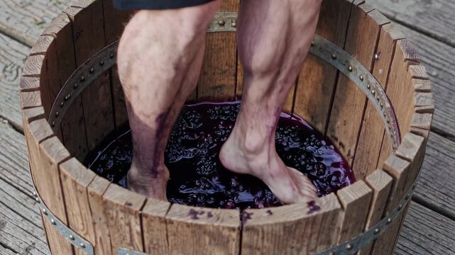 A Close Up View of a Person's Legs Stomping Grapes in a Wooden Barrel Outdoors, Capturing the Traditional Winemaking Process on a Rustic Wooden Floor