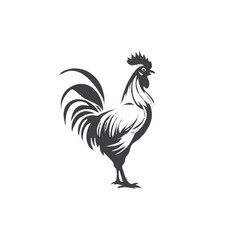 rooster vector illustration 