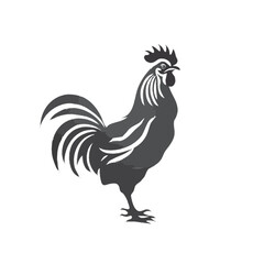 rooster vector illustration