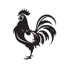 rooster vector illustration