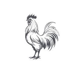 rooster vector illustration 