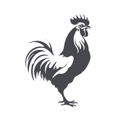 rooster vector illustration