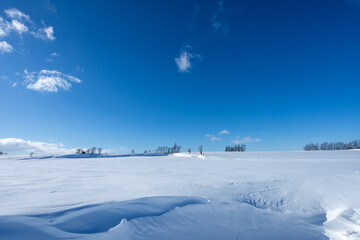 The broadening snowy fields and the passing blue sky
