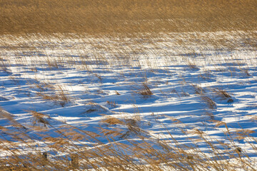 Winter wilderness with wind prints
