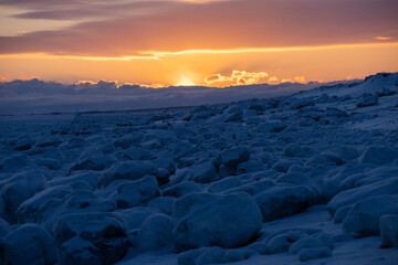 Drift ice field as the sun rises