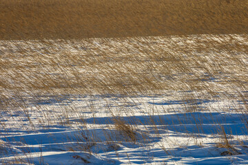A winter field with wind ripples