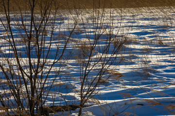 Winter wilderness with wind prints