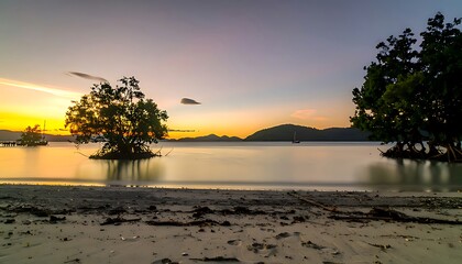 Mangrove trees at sunrise on a tranquil beach.