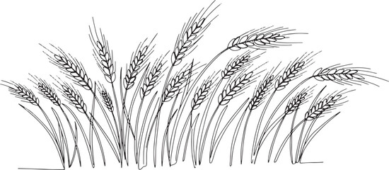 Elegant wheat field line art illustration showcasing the beauty
