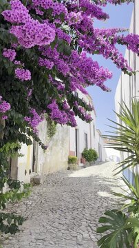 Pink Bougainvillea Against Clear Blue Sky in Obidos 