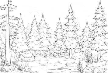 Obraz premium Enchanting woodland scene capturing the tranquil beauty of an ev