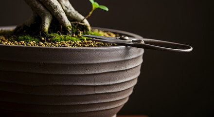 Bonsai Tree in Ceramic Pot with Pruning Shears, Japanese Miniature Plant Art and Detailed Cultivation