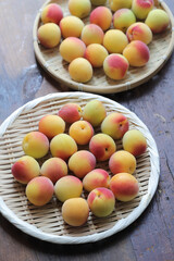 採りたての南高梅