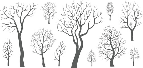 Leafless tree silhouettes vector set, bare winter trees illustration, isolated branching patterns, botanical elements for design, nature graphics, editable template