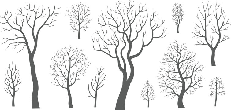 Leafless tree silhouettes vector set, bare winter trees illustration, isolated branching patterns, botanical elements for design, nature graphics, editable template