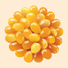 Group of Papaya Seeds Arranged in a Circular Shape - Vector Illustration