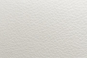 Obraz premium Leather Sofa Texture Seamless Background, White Leathers Upholstery Pattern
