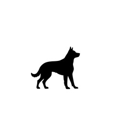 vector illustration of a dog
