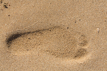The footprint of a bare human foot in the sand. An imprint on a wet surface illuminated by the evening sun. The Red Sea.