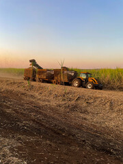 tractor in the field