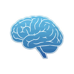 Stylized illustration of a human brain, depicted in shades of blue with intricate white lines representing neural pathways and convolutions, symbolizing thought and cognition.