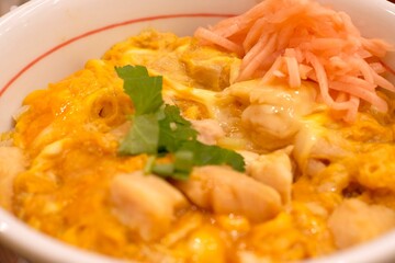Oyakodon
= A Japanese dish consisting of fried chicken bits and eggs served in a bowl with rice and assorted seasoning