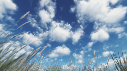 Blue Sky With White Clouds And Tall Grass
