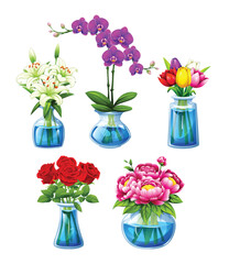 Beautiful collection of colorful flowers in clear glass vases, featuring orchids, lilies, tulips, and roses. Vector cartoon illustration