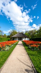 Fototapeta premium A gravel path leads to a thatched-roof gazebo nestled amongst vibrant tulip beds under a bright, partly cloudy sky