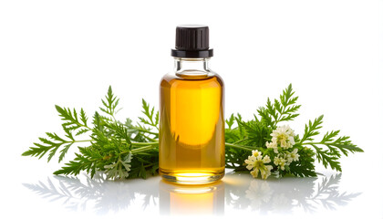 Fototapeta premium Amber Colored Essential Oil Bottle Surrounded By Green And White Floral Arrangement On White Backdrop