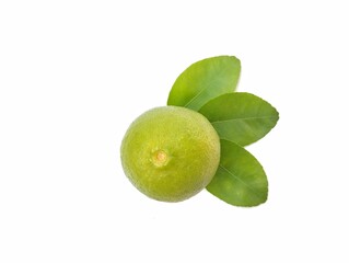 Fresh green lime and leaf (Citrus aurantifolia) isolated on white background 