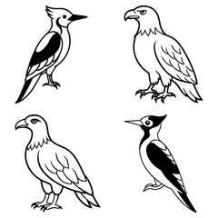 Fototapeta premium Illustration showcasing four distinct bird species including eagles and woodpeckers in a simple black outline