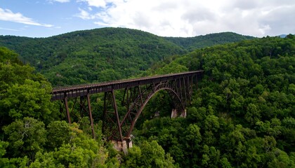 A long, rusty metal bridge arches over a lush green valley