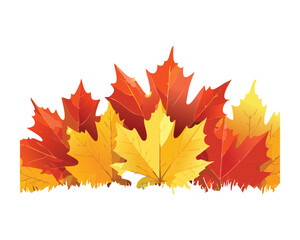 An illustration of a pile of colorful autumn leaves and green grass.
