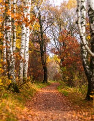 A path winds through an autumnal forest, leaves in shades of red, orange, and yellow carpeting the ground