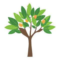 Obraz premium An artistic illustration of a mangrove tree with visible fruit on its branches