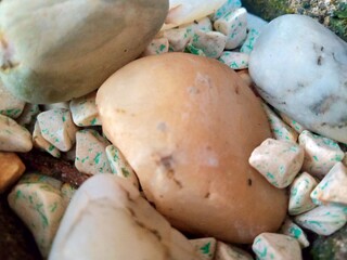 Close-up view of smooth beige and white stones with green accents creating a natural texture.