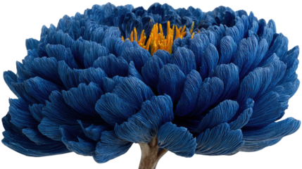 Radiant Blue Floral Marvel: A close-up shot showcases a striking blue flower with intricate petals radiating outwards, revealing the vibrant yellow heart of the bloom. Capturing delicate beauty.