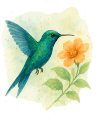 Fototapeta premium Watercolor Bird Illustration Collection – Hand Painted Birds on Branches with Leaves, High Resolution, Transparent