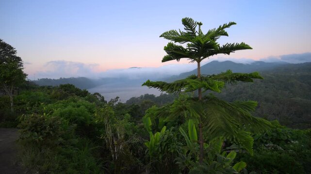 Lake Danau Buyan in Mountains of Bali, Indonesia. Hills of north Bali