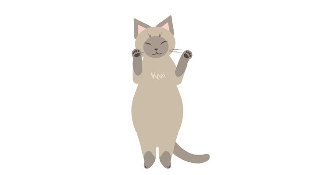 嬉しくて踊る猫のキャラクターアニメーション動画